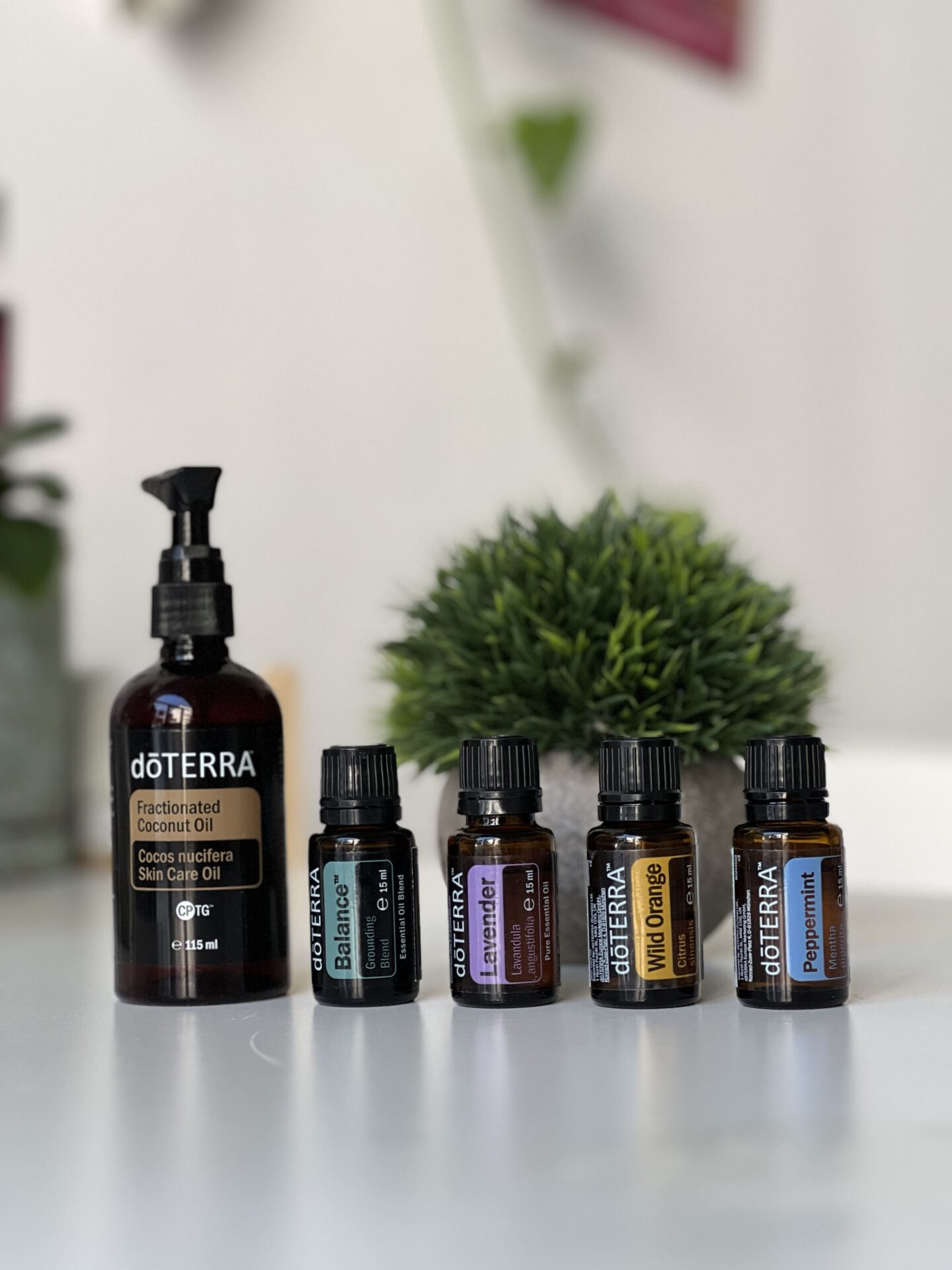 Aromaöle von doTerra, links davon ein Kokosöl und dahinter eine grüne Pflanze