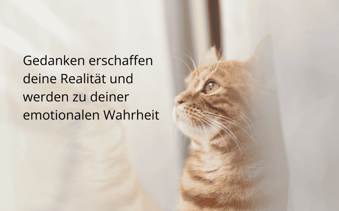 Die Kraft deines Unterbewusstseins nutzen: Gedanken verstehen und in eine positive Richtung lenken