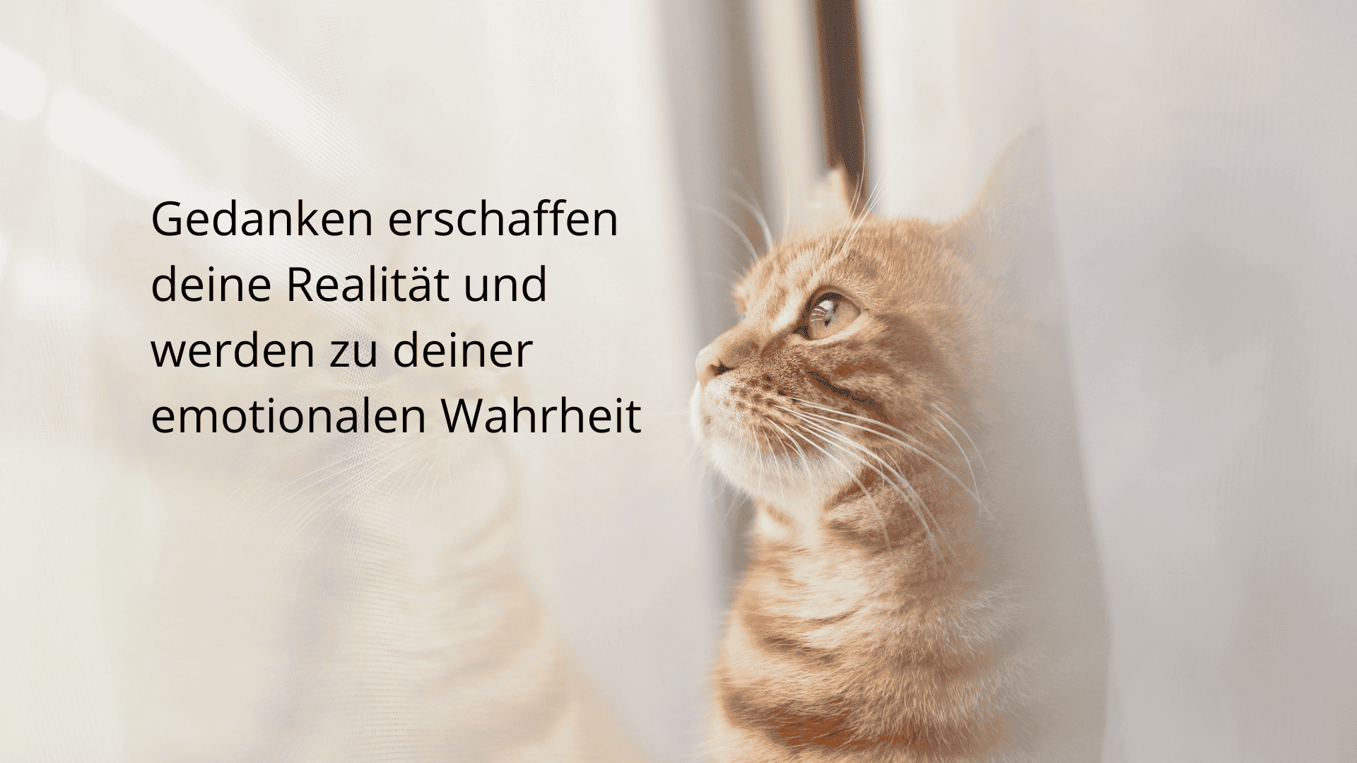 Das Bild ist für den Blogartikel Kraft des Unterbewusstseins. Eine getiggerte Katze, die aus einem Fenster sieht in Richtung des Textes "Gedanken erschaffen deine Realität und werden zu deiner emotionalen Wahrheit".